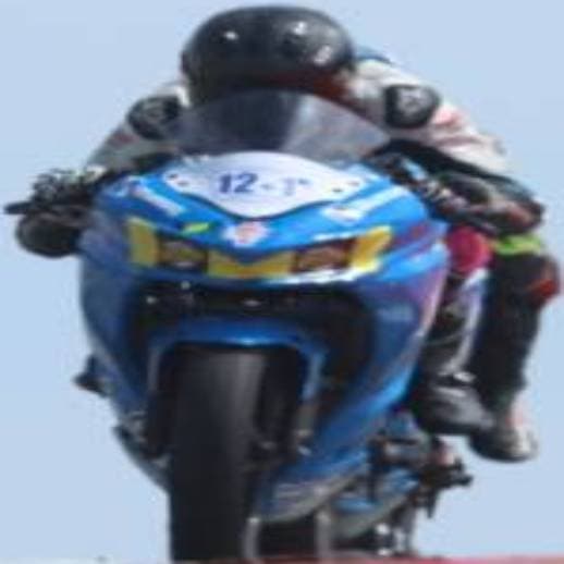 Dorsal 12+1