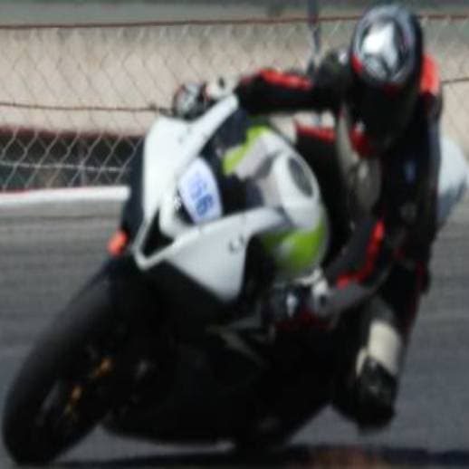 Dorsal 166