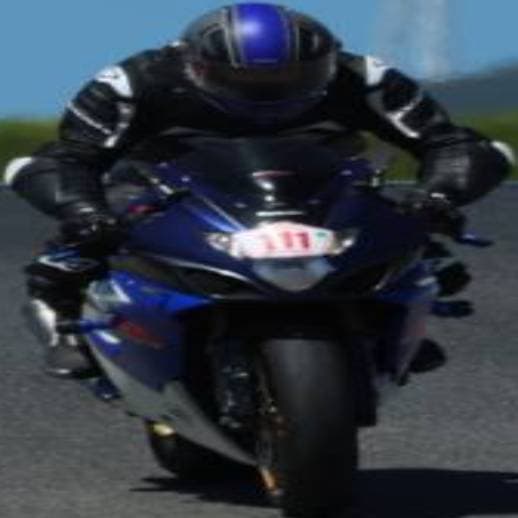 Dorsal 111
