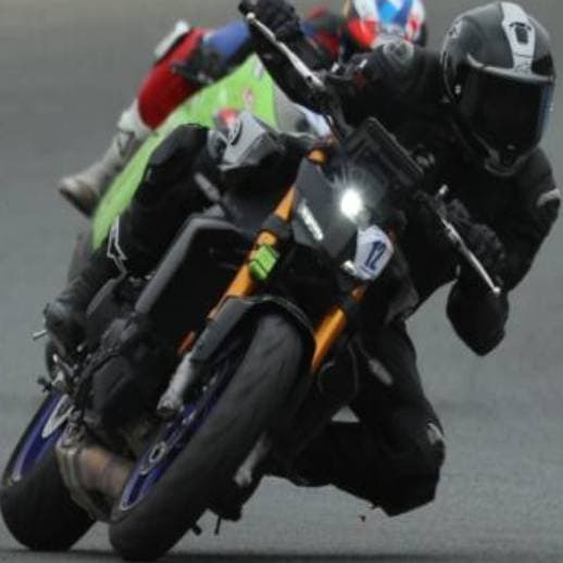 Dorsal 12